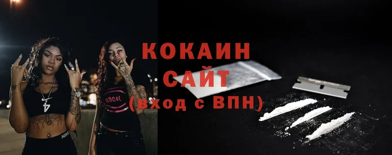 COCAIN Fish Scale  где купить наркотик  Искитим 